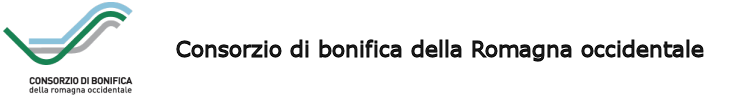 Cliente 6